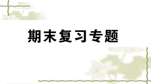 新人教版八年级数学上册期末复习专题阶段复习-几何部分ppt课件.ppt