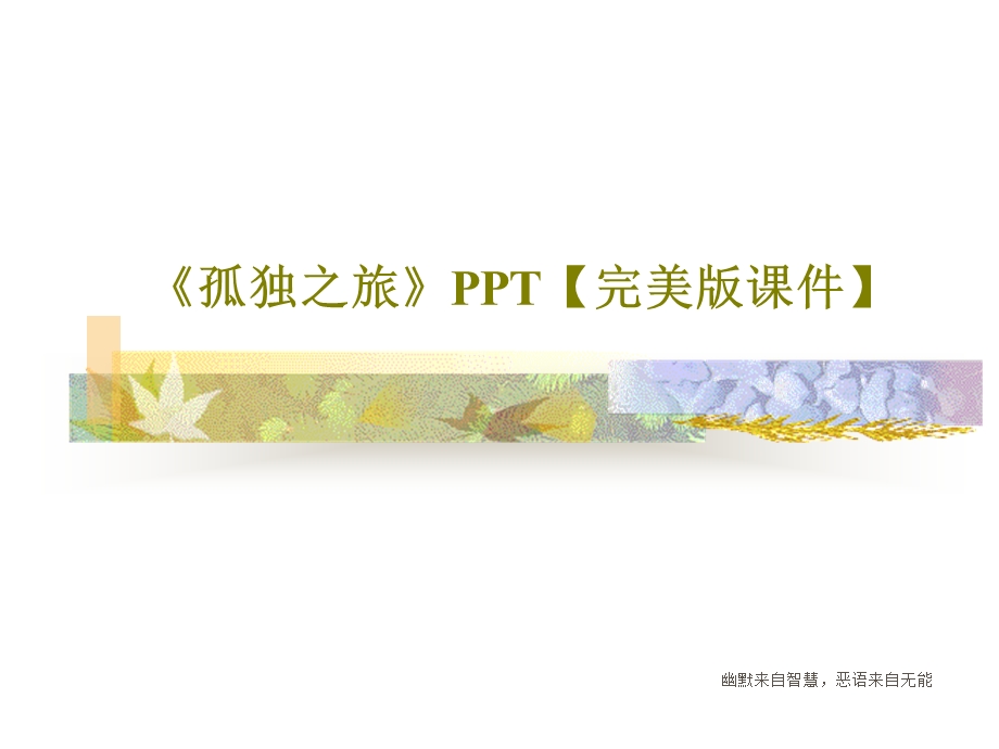 《孤独之旅》完美版ppt课件.ppt_第1页