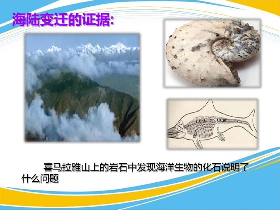 《海陆变迁》优秀ppt课件.ppt_第3页