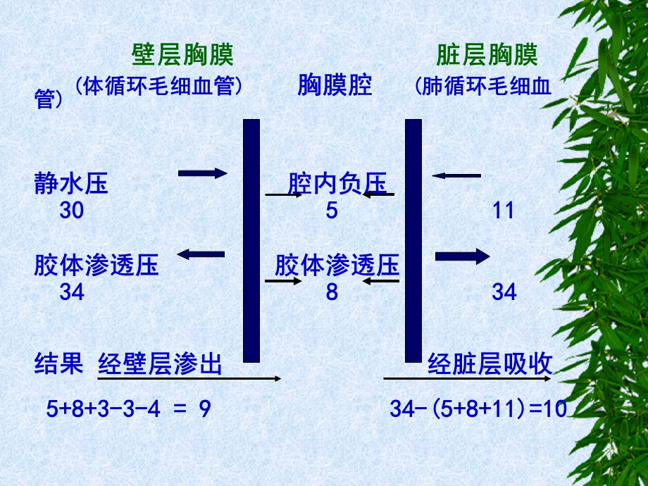 【内科学ppt课件】胸腔积液.ppt_第3页