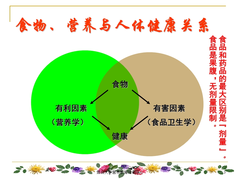 食物营养与食品加工基础国家公共营养师培训课件.ppt_第3页