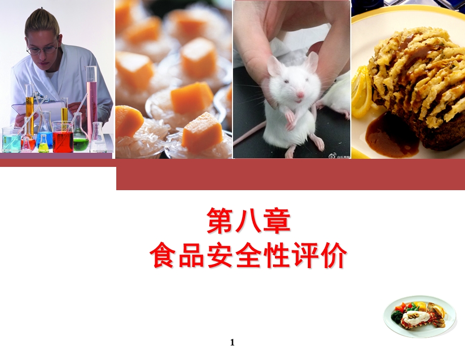 食品安全性评价概述课件.ppt_第1页