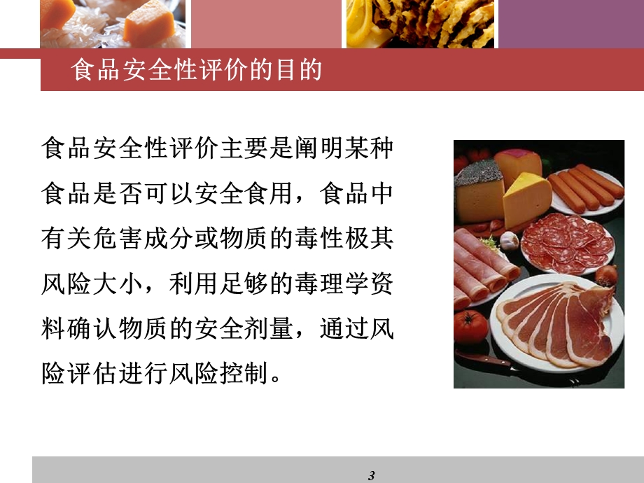 食品安全性评价概述课件.ppt_第3页