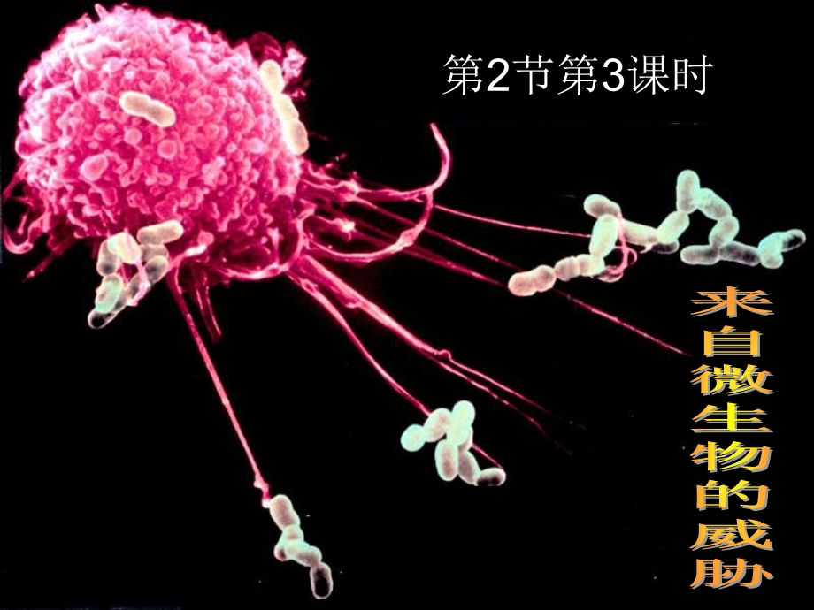 传染源2传播途径3易感人群课件.ppt_第2页