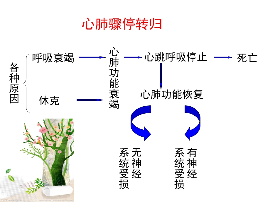 儿童心肺复苏知识分享课件.ppt_第3页