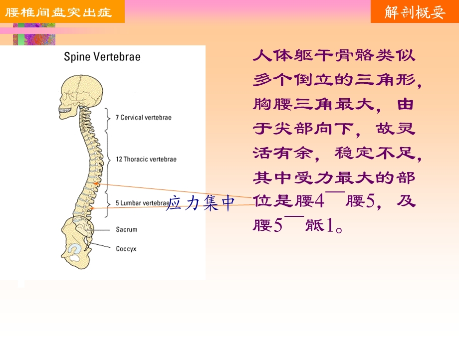 腰椎间盘突出的护理查房汇编课件.ppt_第2页