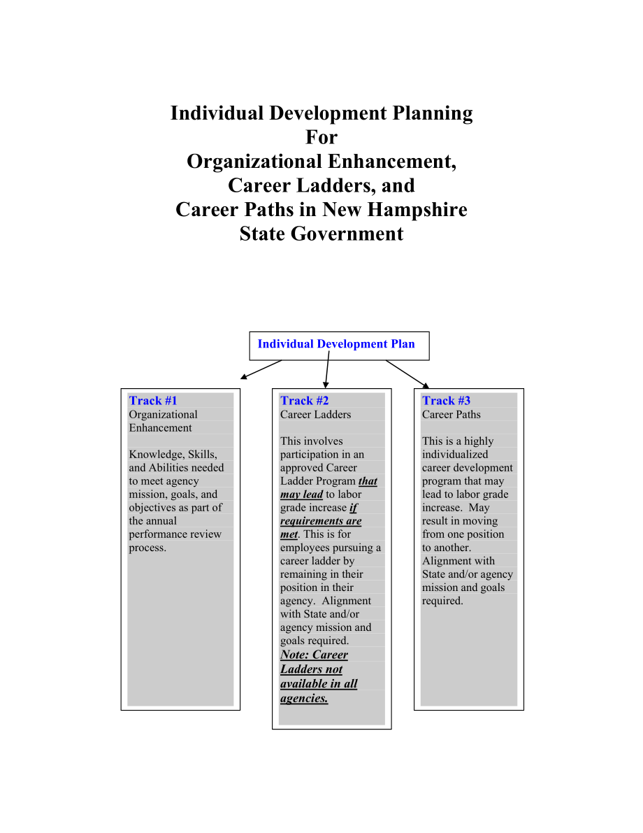 Individual Development Plan Model.doc_第3页