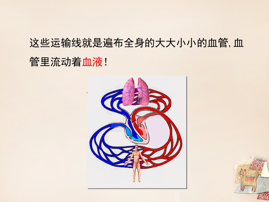 七年级生物下册第三章第一节物质运输的载体教学ppt课件(新(精).ppt_第3页