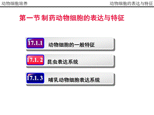 动物细胞培养制药工艺课件.pptx