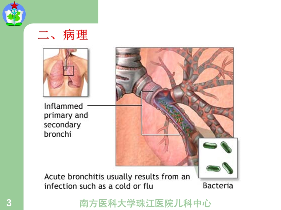 呼吸系统疾病课程安排课件.ppt_第3页