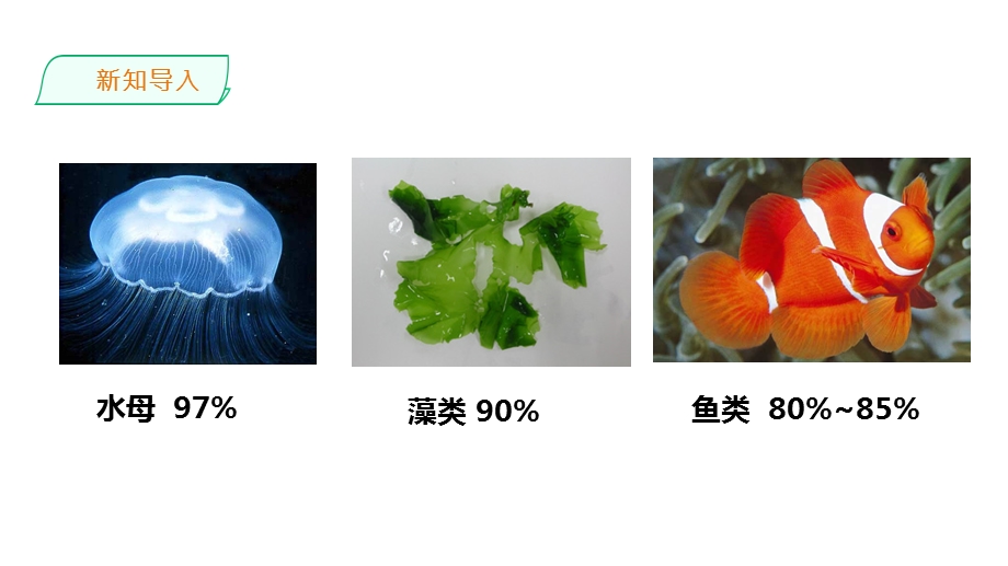 人教版生物细胞中的无机物教学ppt课件.ppt_第2页