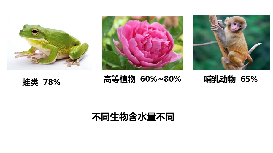 人教版生物细胞中的无机物教学ppt课件.ppt_第3页