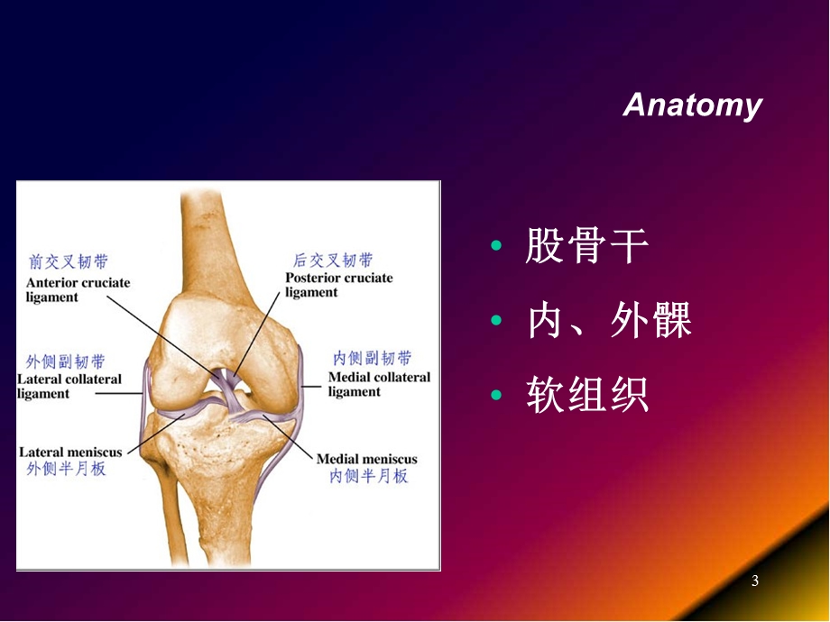 股骨远端骨折医学课件.ppt_第3页