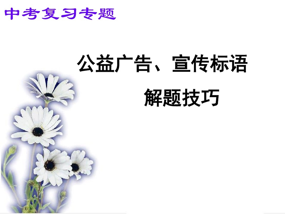 中考复习广告语课件.ppt_第2页