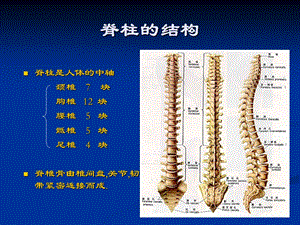 颈椎病-课件名师教学资料.ppt