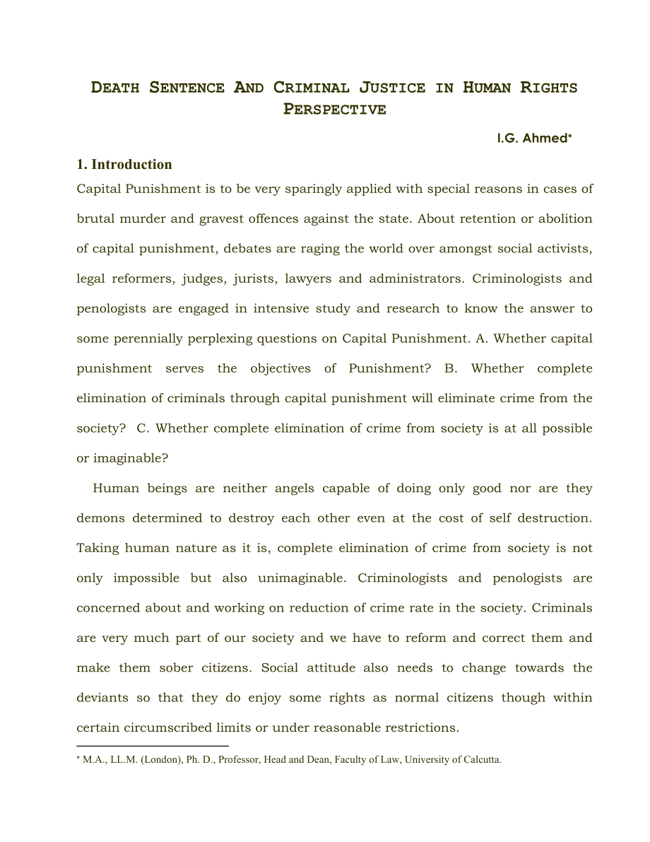 death sentence and criminal justice in human rights perspectiveBHU.doc_第1页