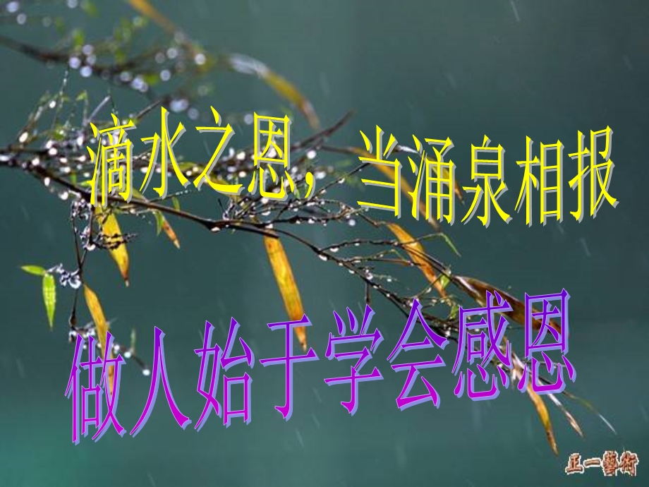 因为他们给予我们生命课件.ppt_第2页