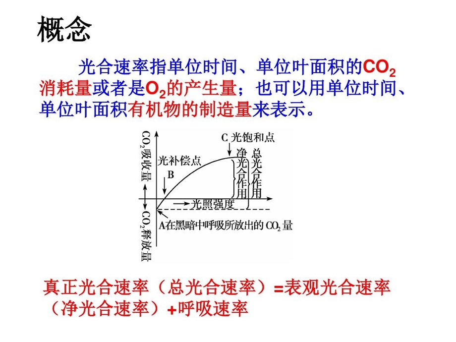 光合作用测定方法课件.ppt_第3页