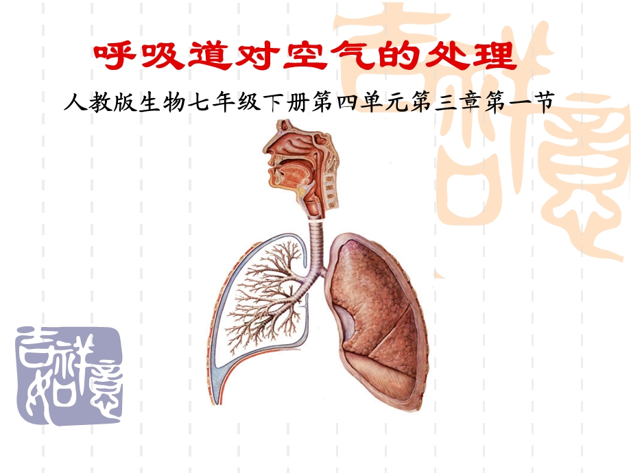 全国青年教师素养大赛一等奖ppt课件说课：呼吸道对空气的处理.ppt_第1页