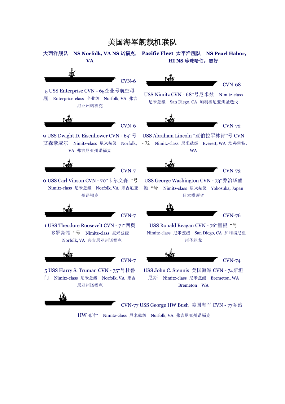 美国海军航母舰载机联队各连队战斗配置及徽章标志.doc_第1页