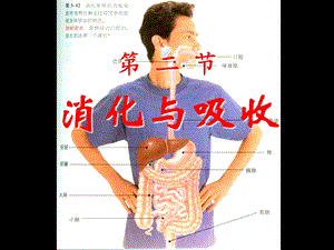 《消化和吸收》人体的营养课件.ppt