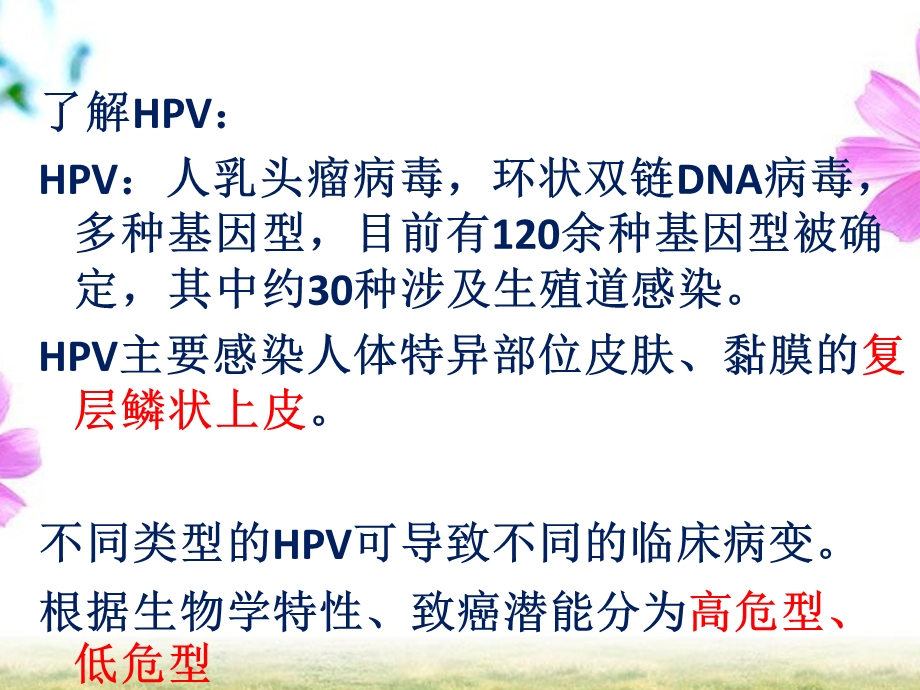 HPV感染与宫颈癌-知识讲解课件.ppt_第2页