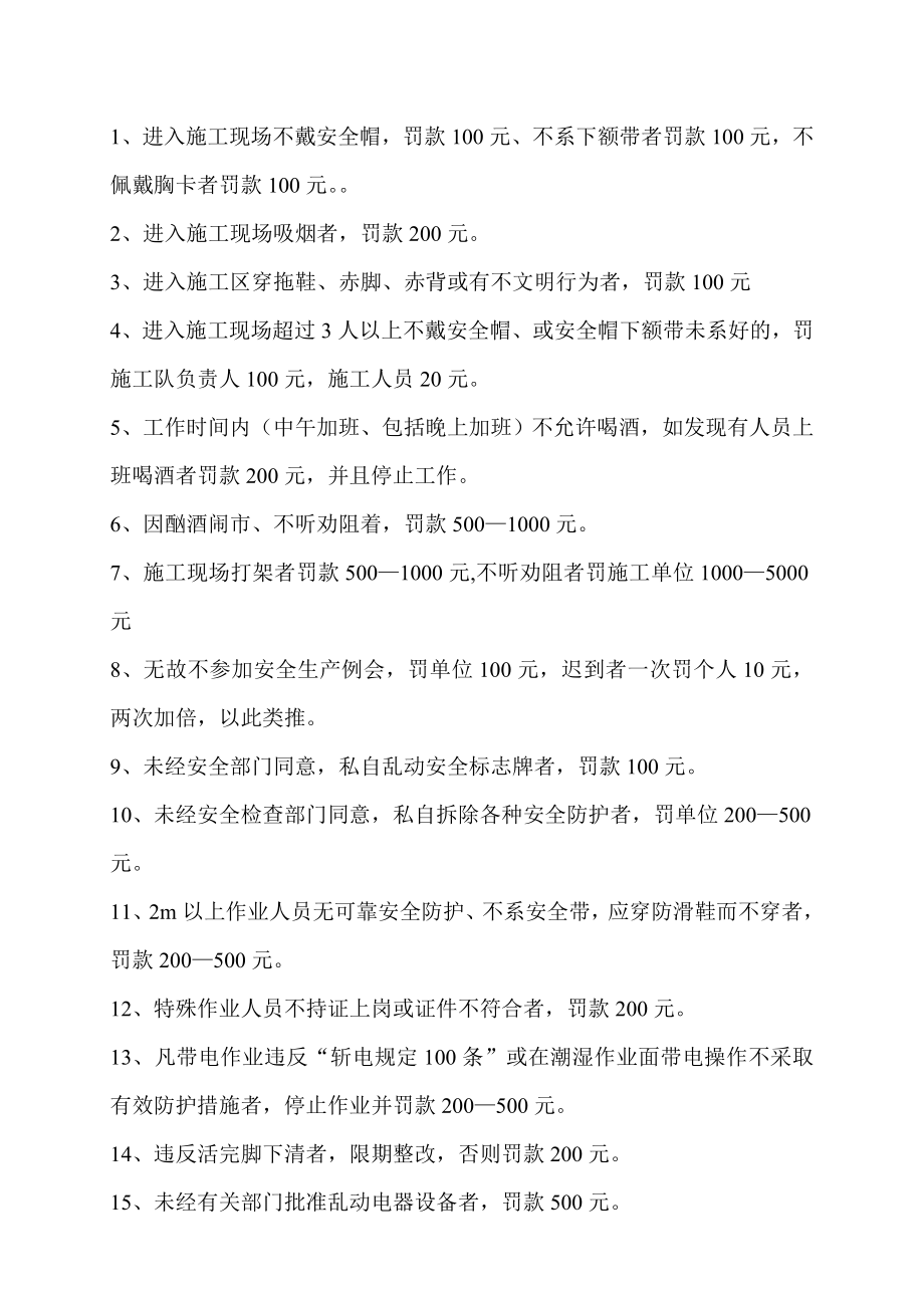 项目部违章处罚条例.doc_第2页