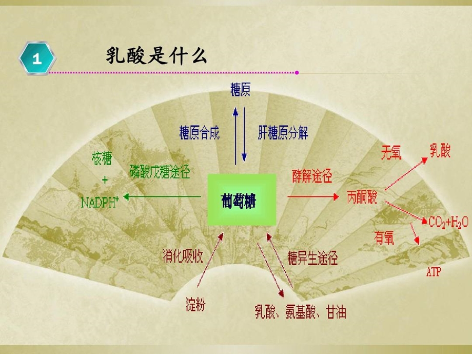 乳酸升高临床分析讲解学习课件.ppt_第2页