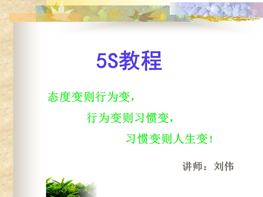 5S管理培训讲义PPT模版课件.ppt_第1页