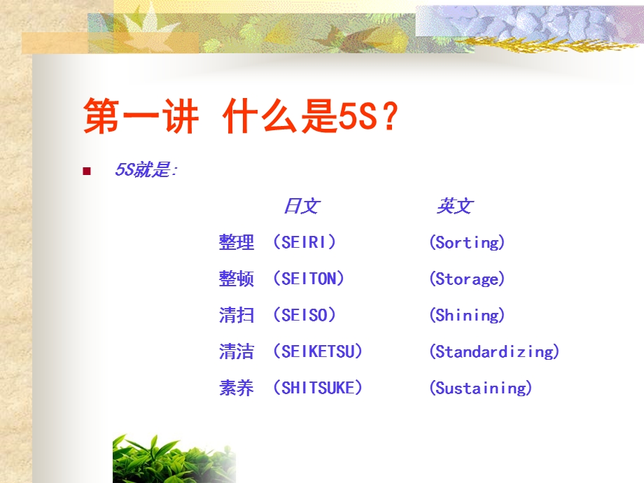 5S管理培训讲义PPT模版课件.ppt_第2页