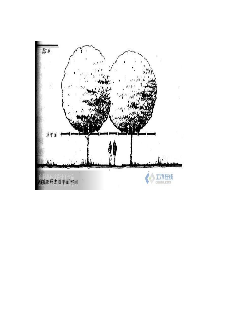 图解植物种植的科学布局.doc_第1页