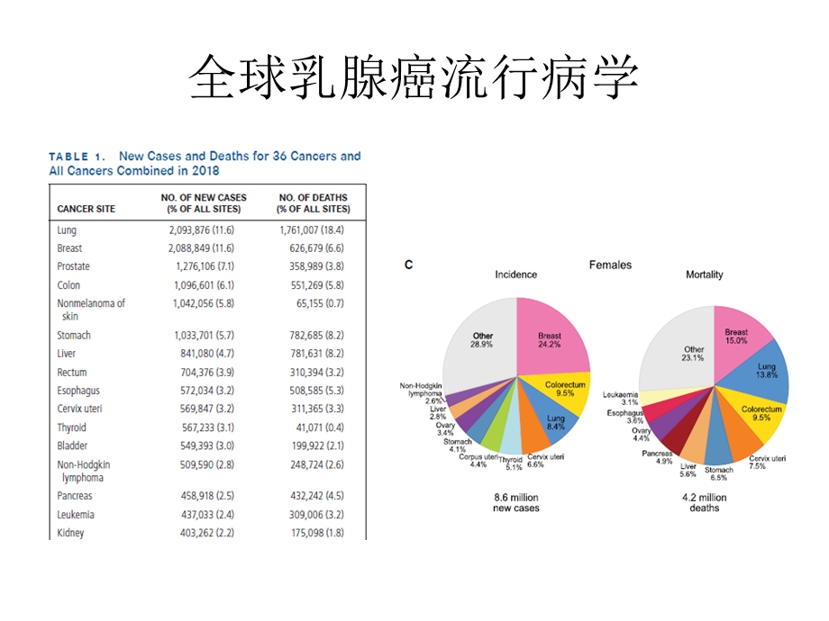 乳腺癌本科生教学课件.pptx_第3页