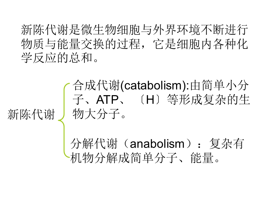 食品第六章微生物的代谢课件.ppt_第2页