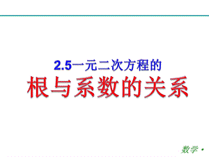 一元二次方程根与系数的关系(公开课)精品课件.pptx