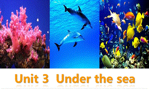 人教版英语选修七-M7-Unit3-Under-the-sea-warming-up--reading课件.ppt