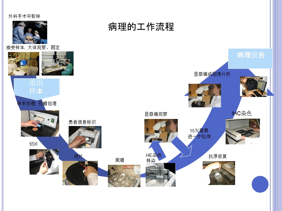 病理工作流程课件.pptx_第2页