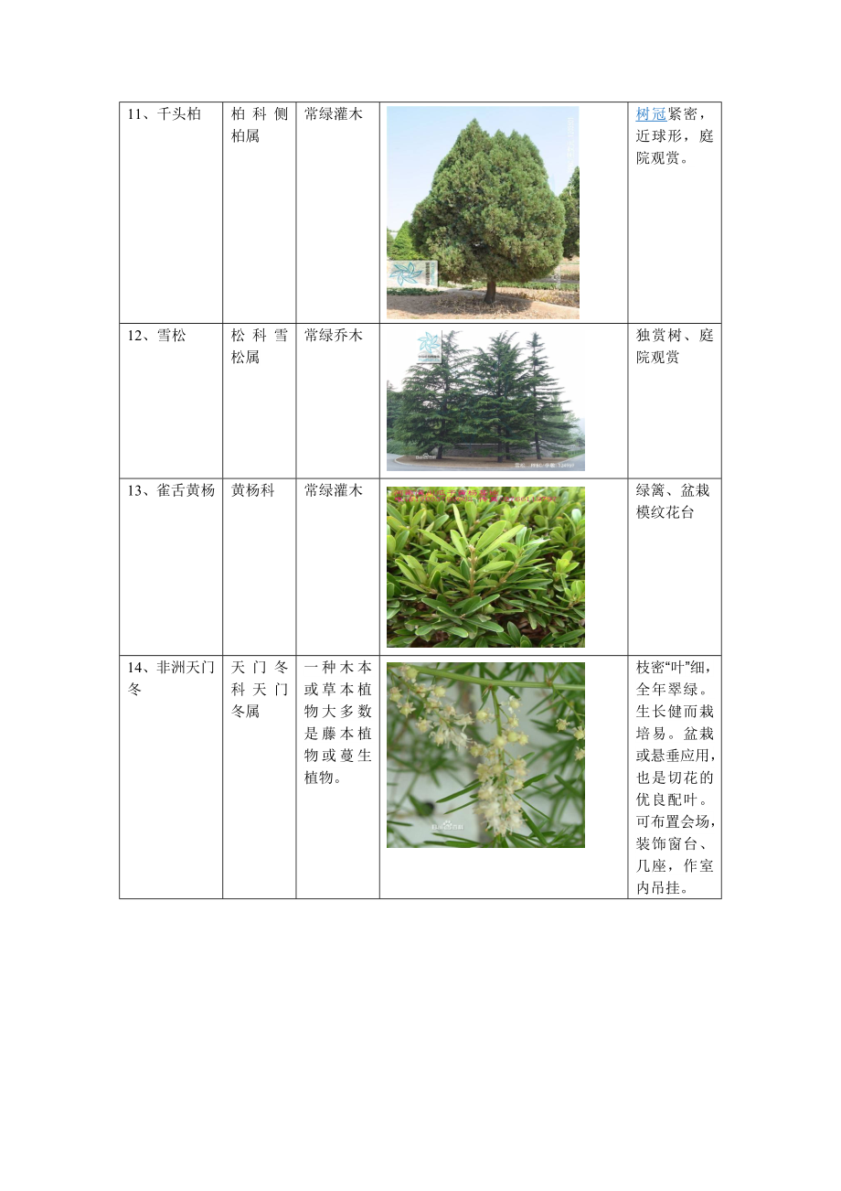 云南常见植物图片及简介.doc_第3页