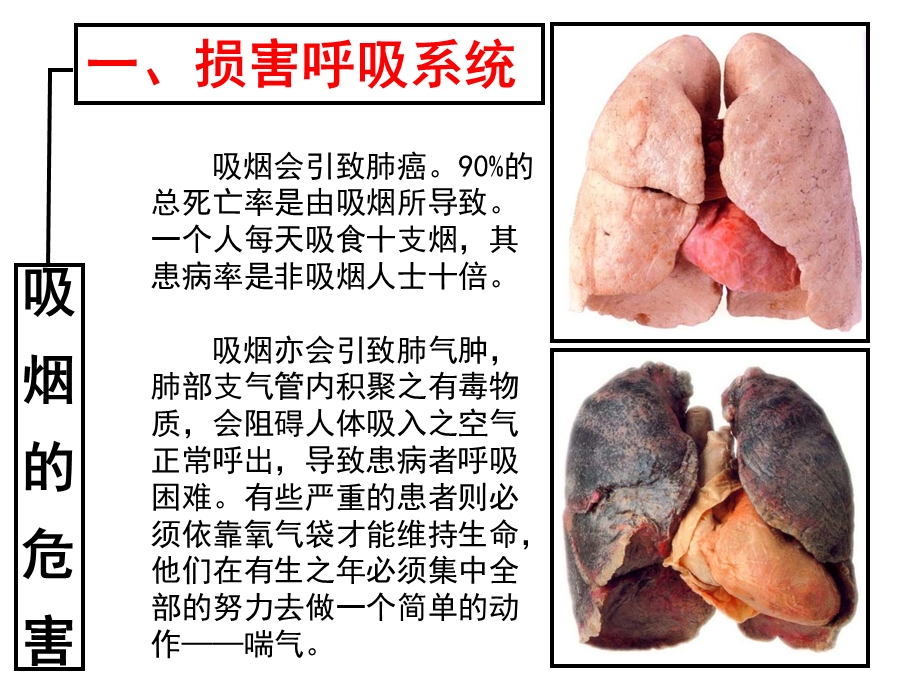 不吸烟不酗酒课件.ppt_第3页