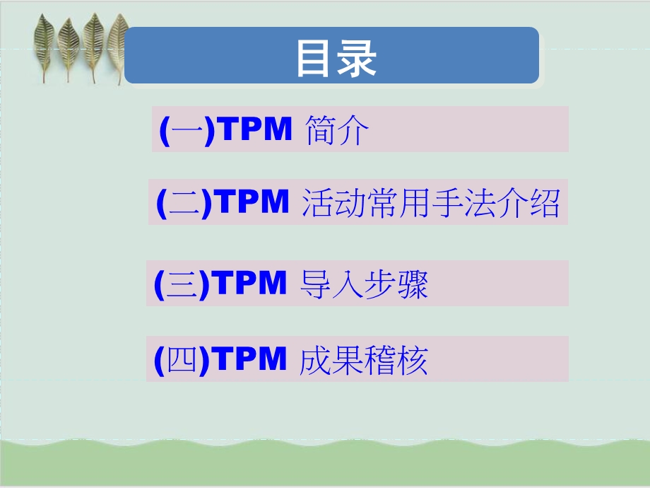 全员生产保全（TPM）推行方案说明课件.ppt_第2页