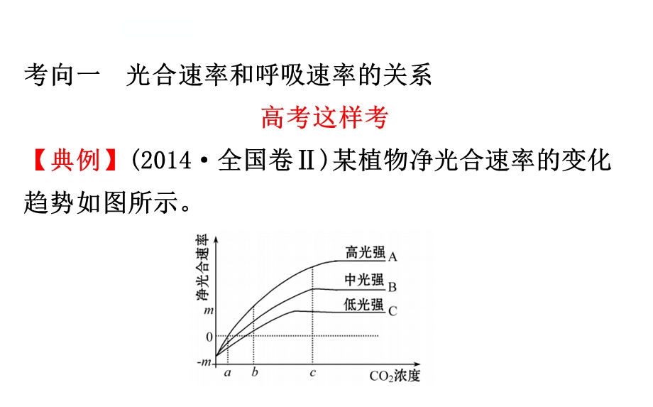 光合速率和呼吸速率的关系解读及测定课件.ppt_第2页