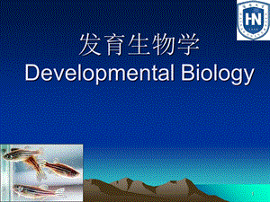 (发育生物学)01第一章绪论课件.ppt