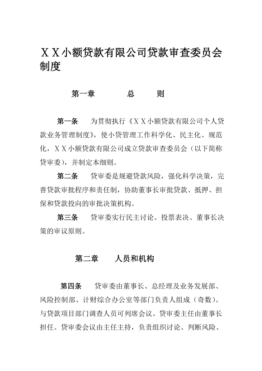 小额贷款有限公司贷款审查委员会制度.doc_第1页