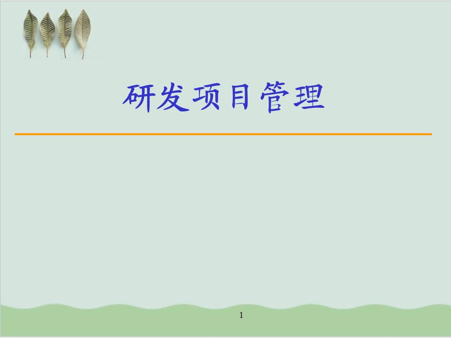 产品研发项目管理课件.ppt_第1页