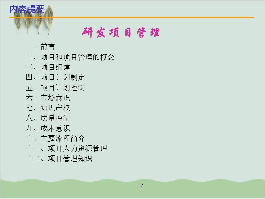 产品研发项目管理课件.ppt_第2页