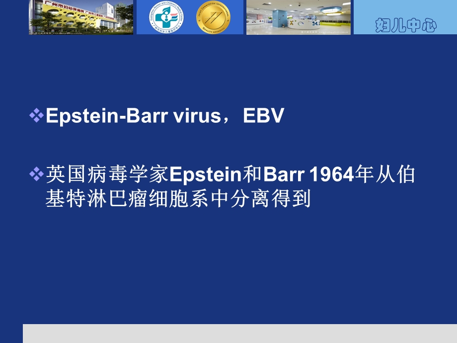 EB病毒概述ppt课件.ppt_第3页