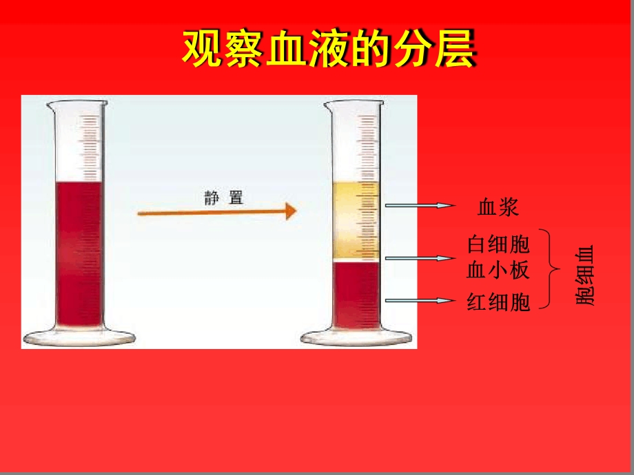 七年级下册生物ppt-血液课件-北师大版.ppt_第3页