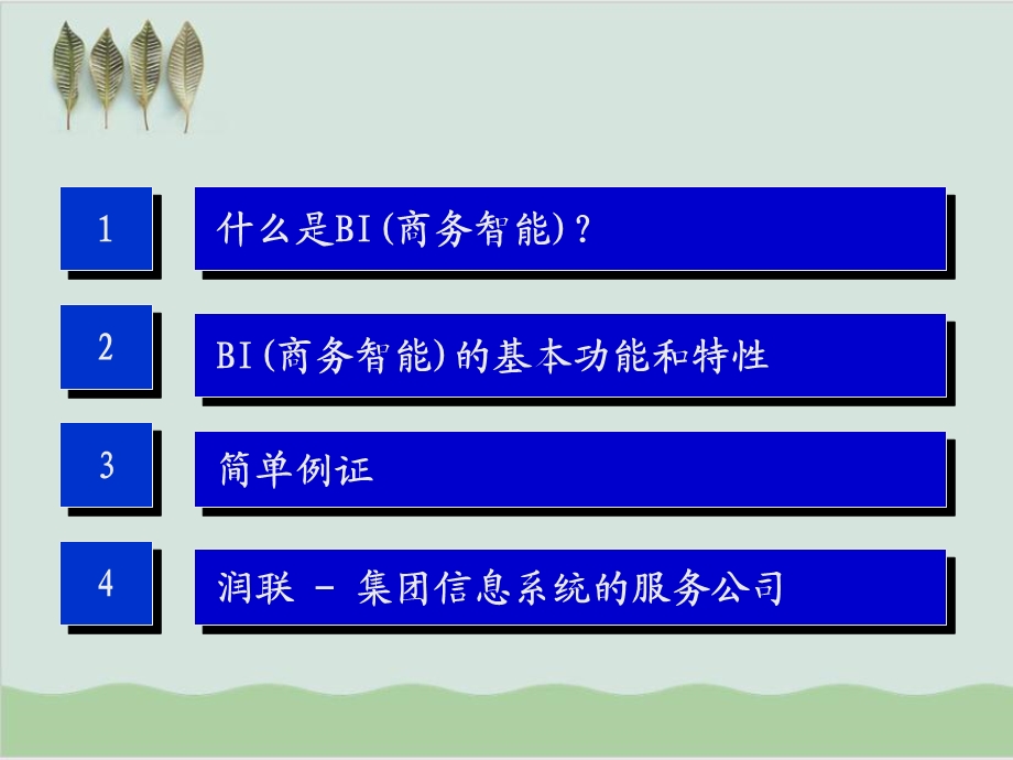 BI商务智能解决方案课件.ppt_第2页