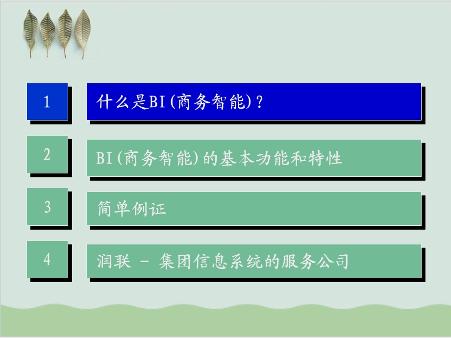 BI商务智能解决方案课件.ppt_第3页