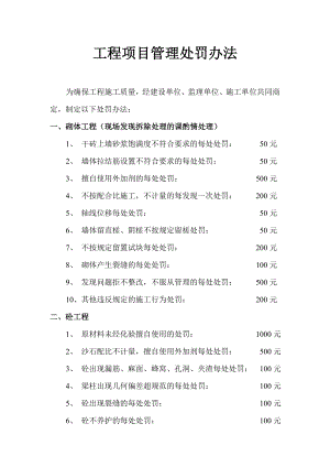 工程项目管理处罚办法.doc