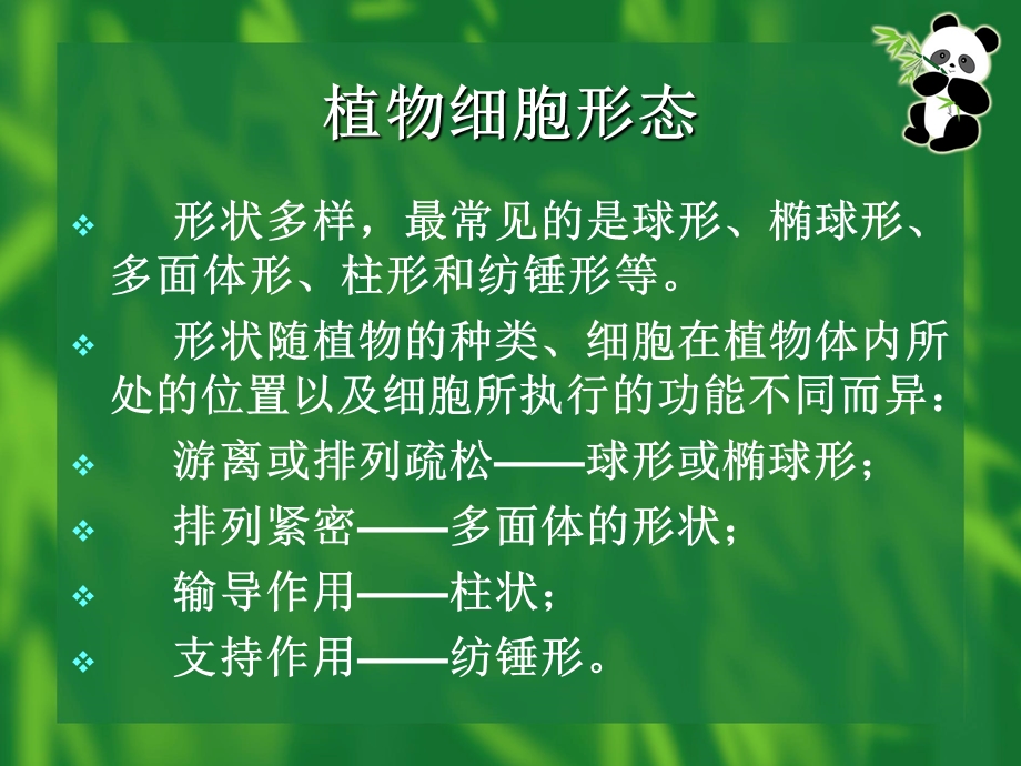 上篇-植物器官与显微结构课件.ppt_第3页